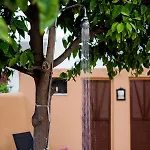 Kristina's Hotel apartamentowy Rhodes City